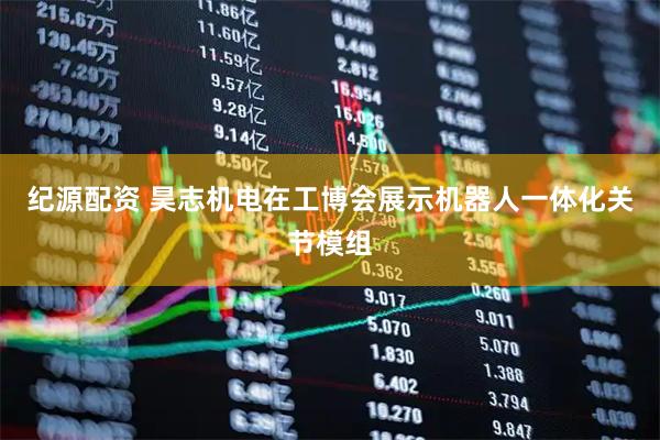 纪源配资 昊志机电在工博会展示机器人一体化关节模组