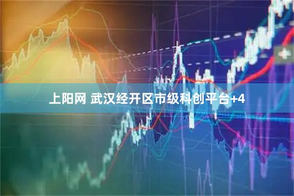 上阳网 武汉经开区市级科创平台+4