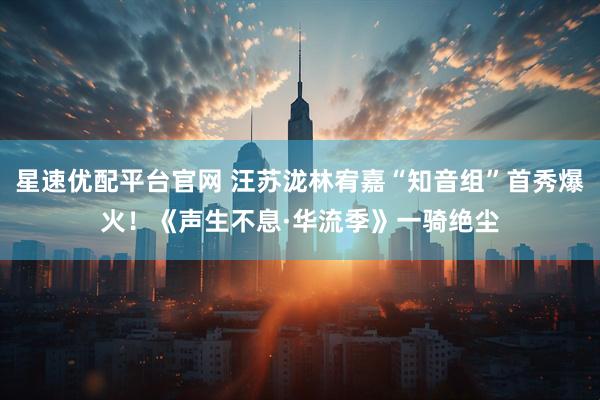星速优配平台官网 汪苏泷林宥嘉“知音组”首秀爆火！《声生不息·华流季》一骑绝尘