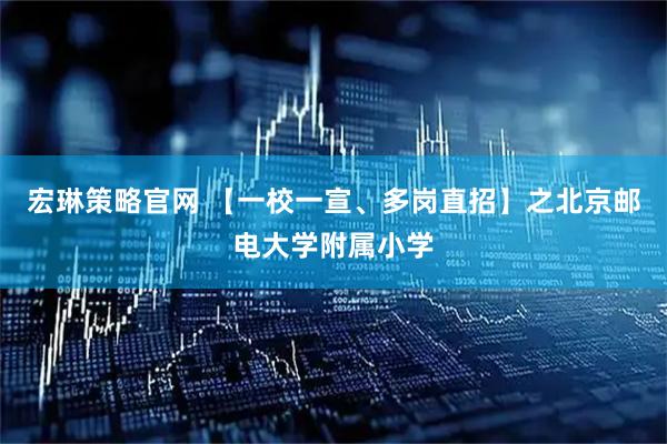 宏琳策略官网 【一校一宣、多岗直招】之北京邮电大学附属小学