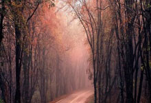 什么是杠杆资金:手机在哪买股票-九三大阅兵今日举行 有哪些亮点？